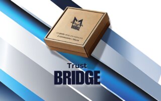 ritocchi e manutenzione: Immagine raffigurante un cofanetto marrone con il logo 'Trust Bridge' e il claim 'Un ponte verso una nuova era di connessione e fiducia' stampato sul coperchio. Sullo sfondo, fasce diagonali blu e argento creano un design moderno e dinamico. In basso, il testo 'Trust Bridge' è evidenziato in blu scuro.